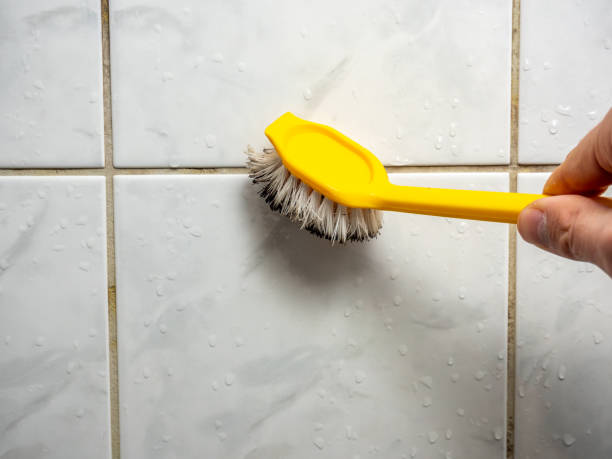 Best Office Mold Removal Services  in Hudsonville, MI