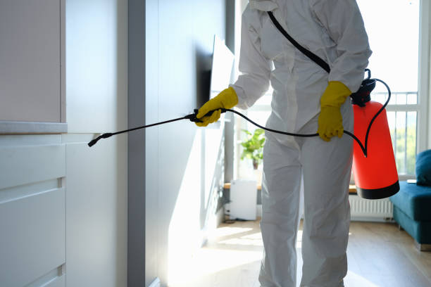 Best Mold Testing  in Hudsonville, MI