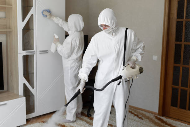 Best Toxic Mold Removal  in Hudsonville, MI