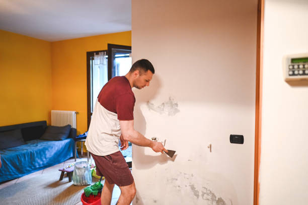  Hudsonville, MI Mold Removal Pros